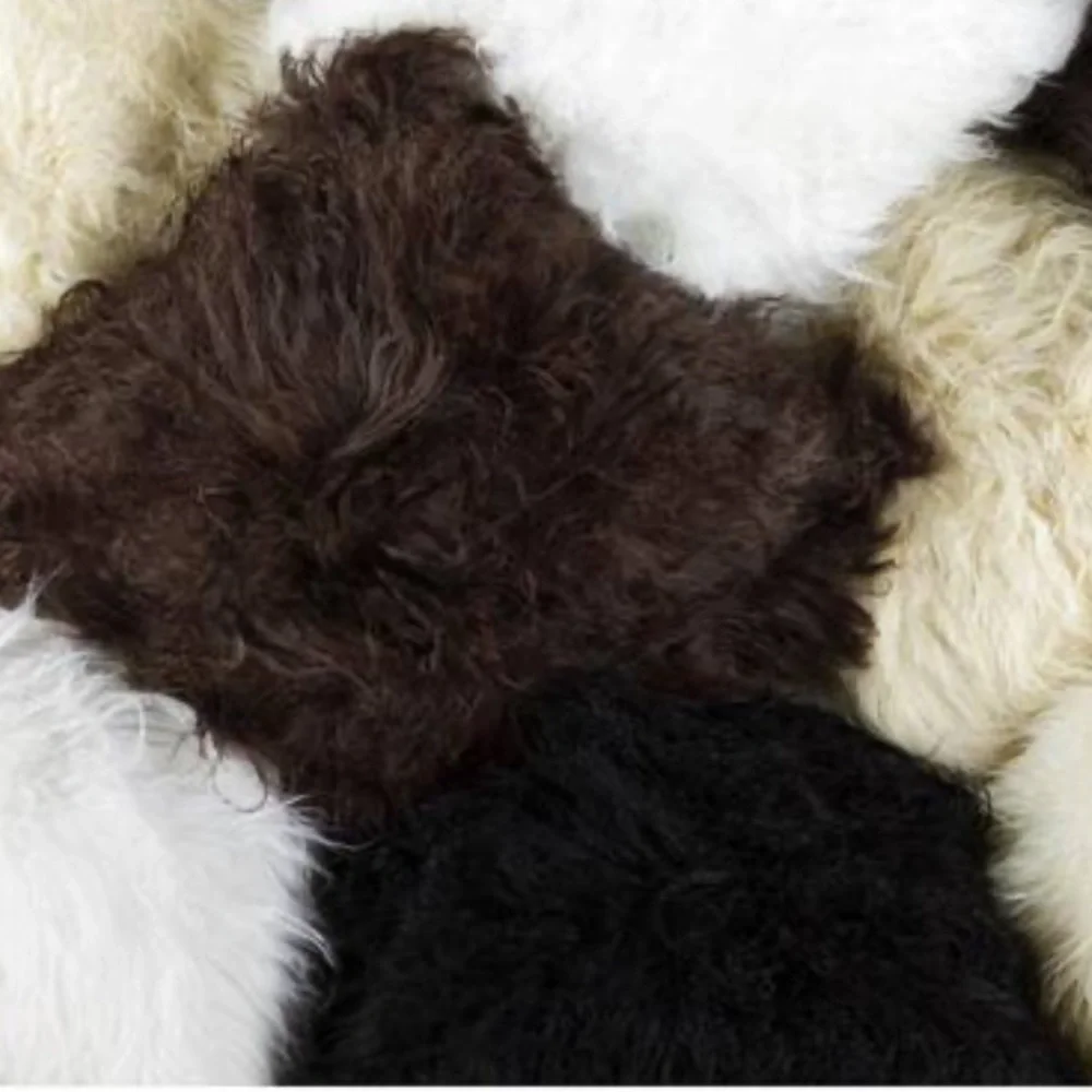 Natural Design Pillow Cover